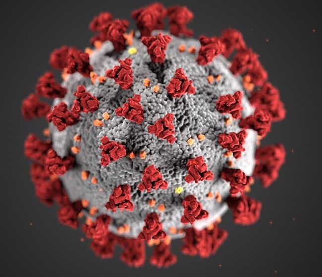 A simulation of the COVID-19 virus