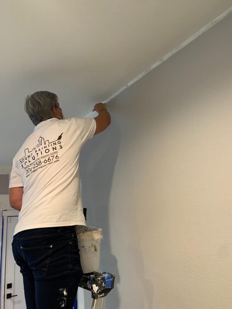 A Sound Painting Solutions painter cutting in a wall