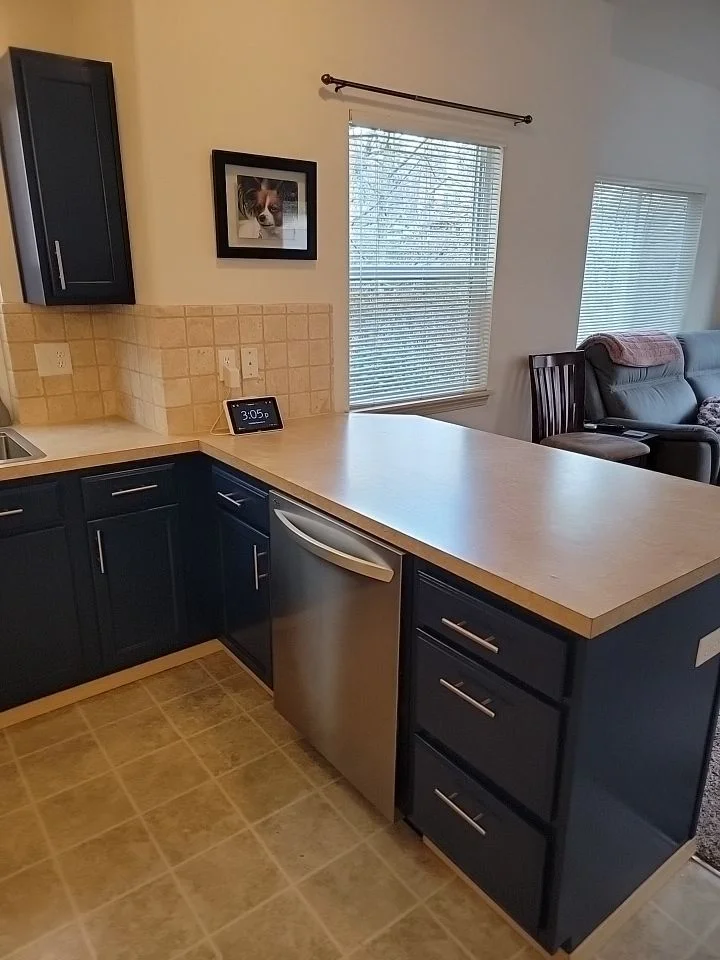 Cabinet painting project in Newcastle