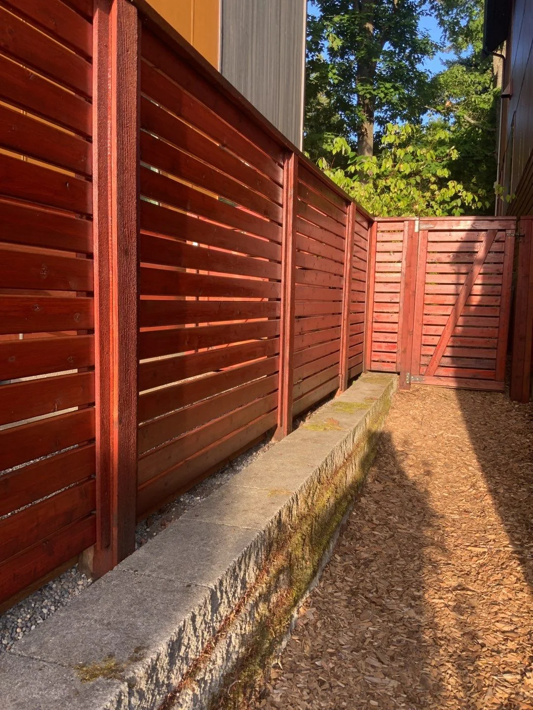 Exterior fence painting project